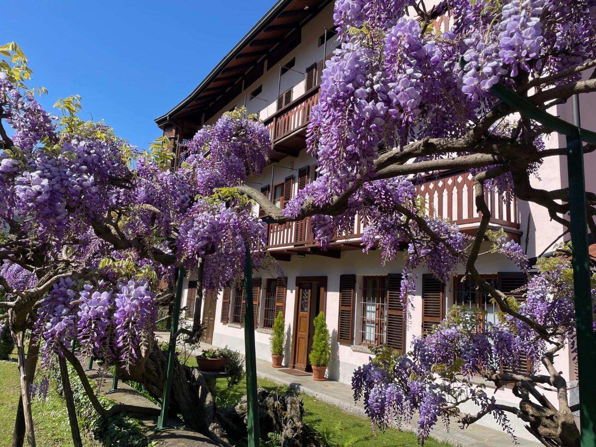 Dimora Fiorita Senior My Holiday Home Varallo Ngoại thất bức ảnh